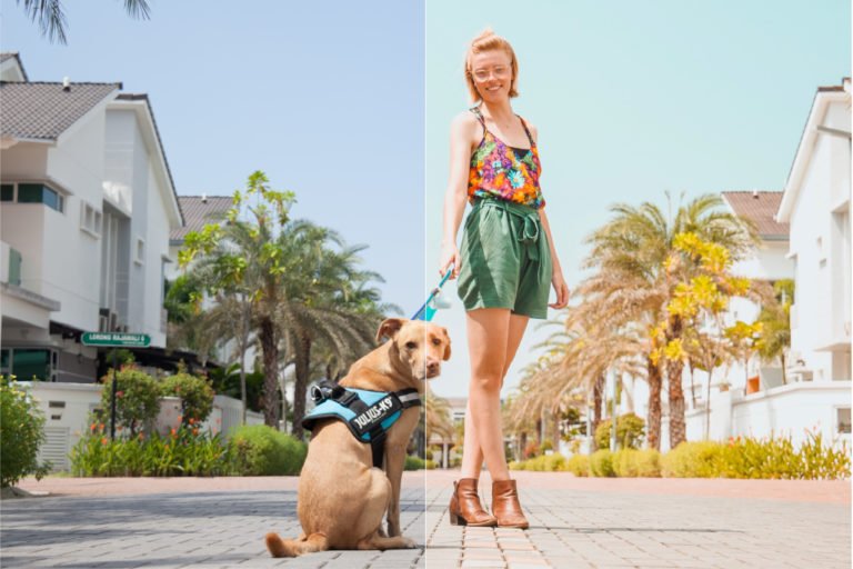 instagram lightroom preset tutorial