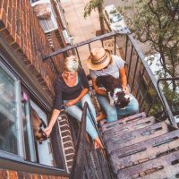 how to become house-sitter, new york city fire escape, cats, trustedhousesitters