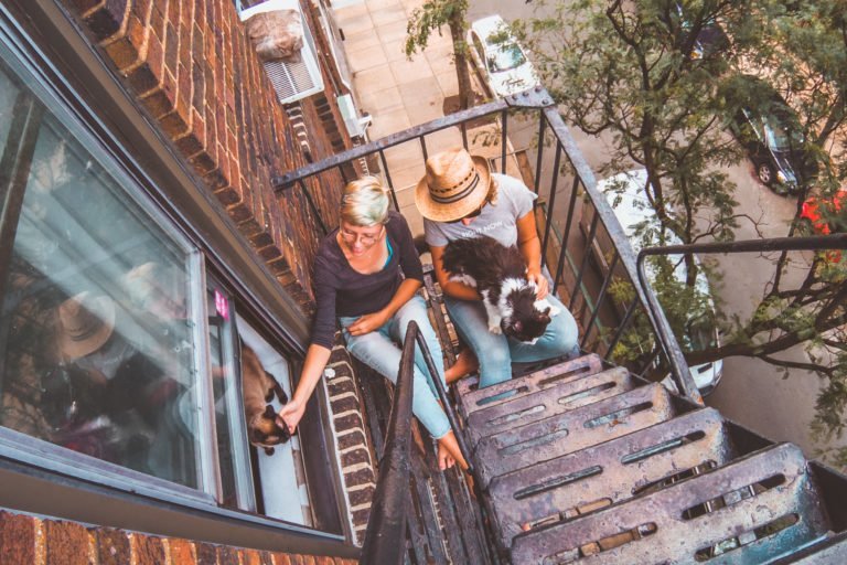 how to become house-sitter, new york city fire escape, cats, trustedhousesitters