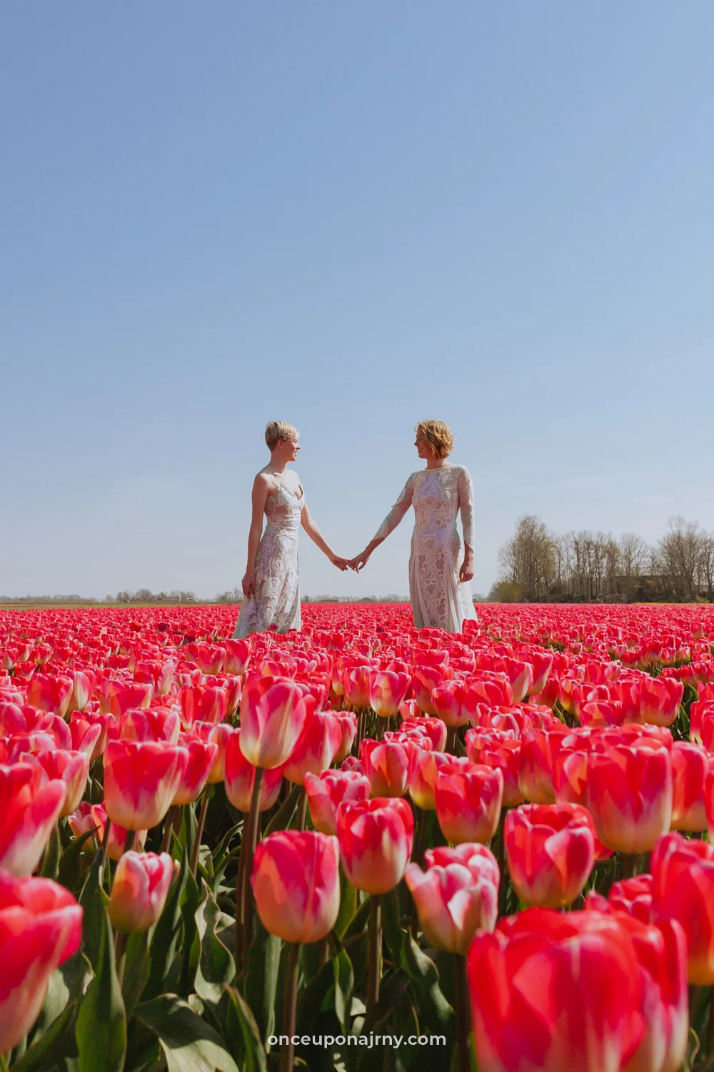 Lesbian wedding tulip fields LGBT Netherlands
