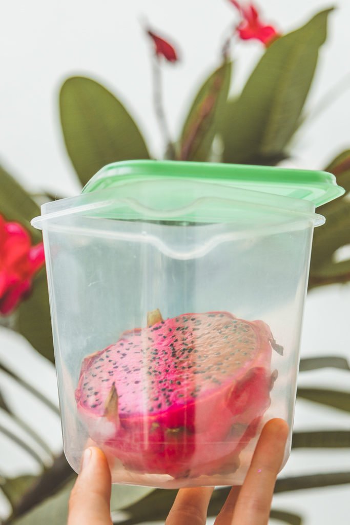 Eco-Friendly Travel Essentials - Food Container