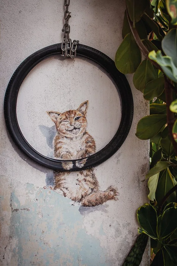 Cat on Tyre, Penang Street Art, 101 Lost Kittens Project by ASA
