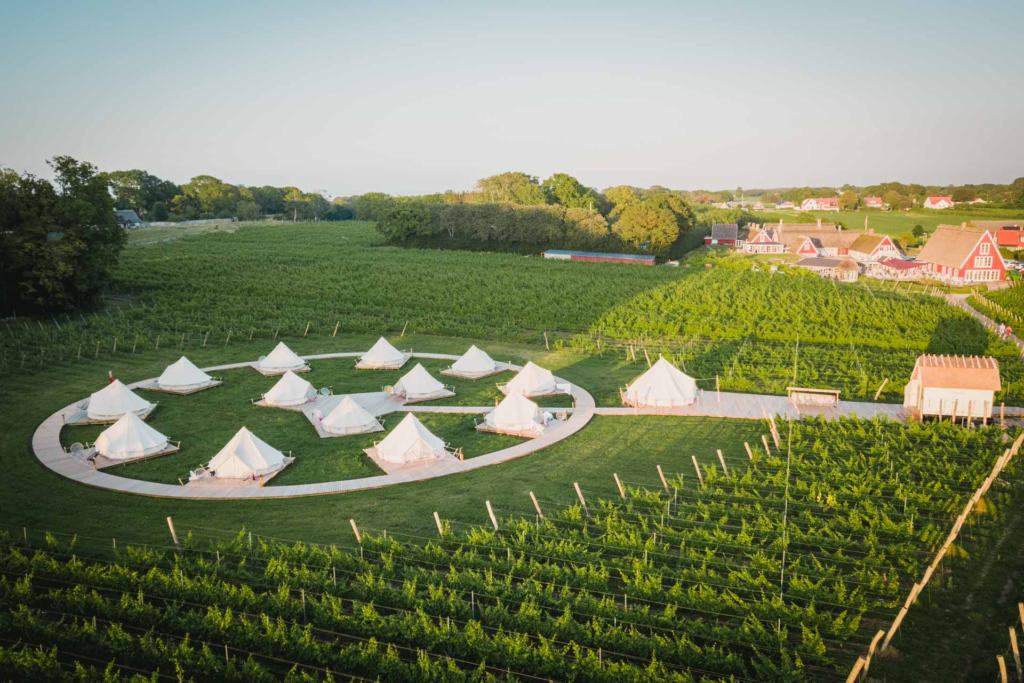 Aerial view of Arilds Vingård, glamping, vineyard, Skåne, Sweden