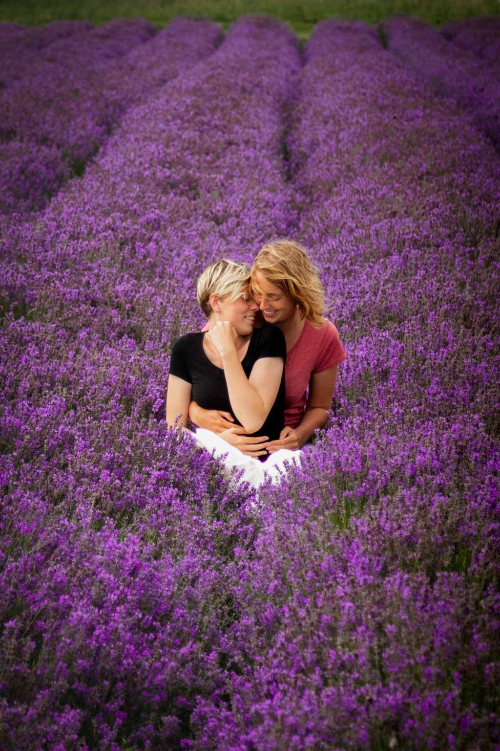 Österlenkryddor, lavender field, Skåne, Sweden
