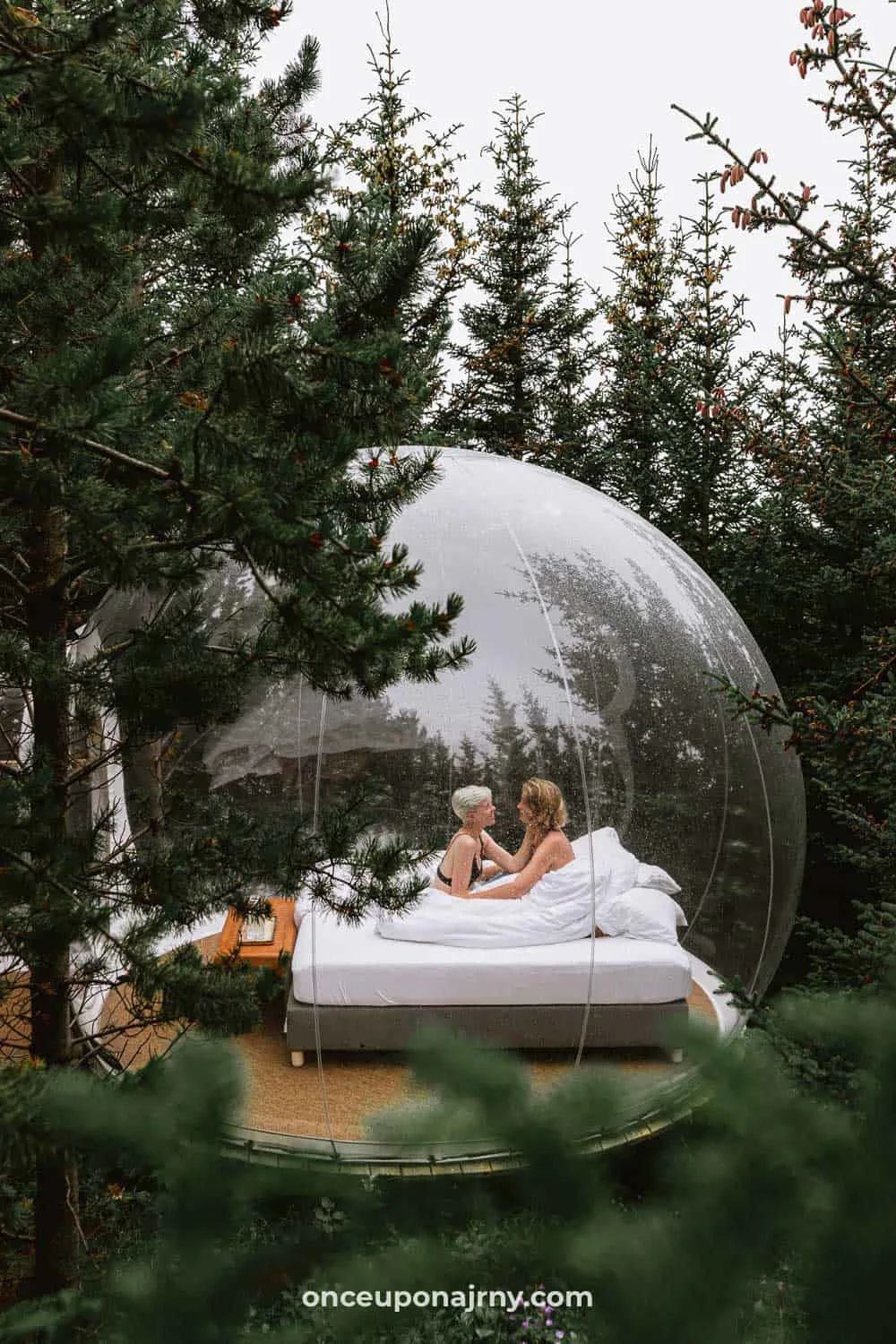 Bubble Iceland Hotel