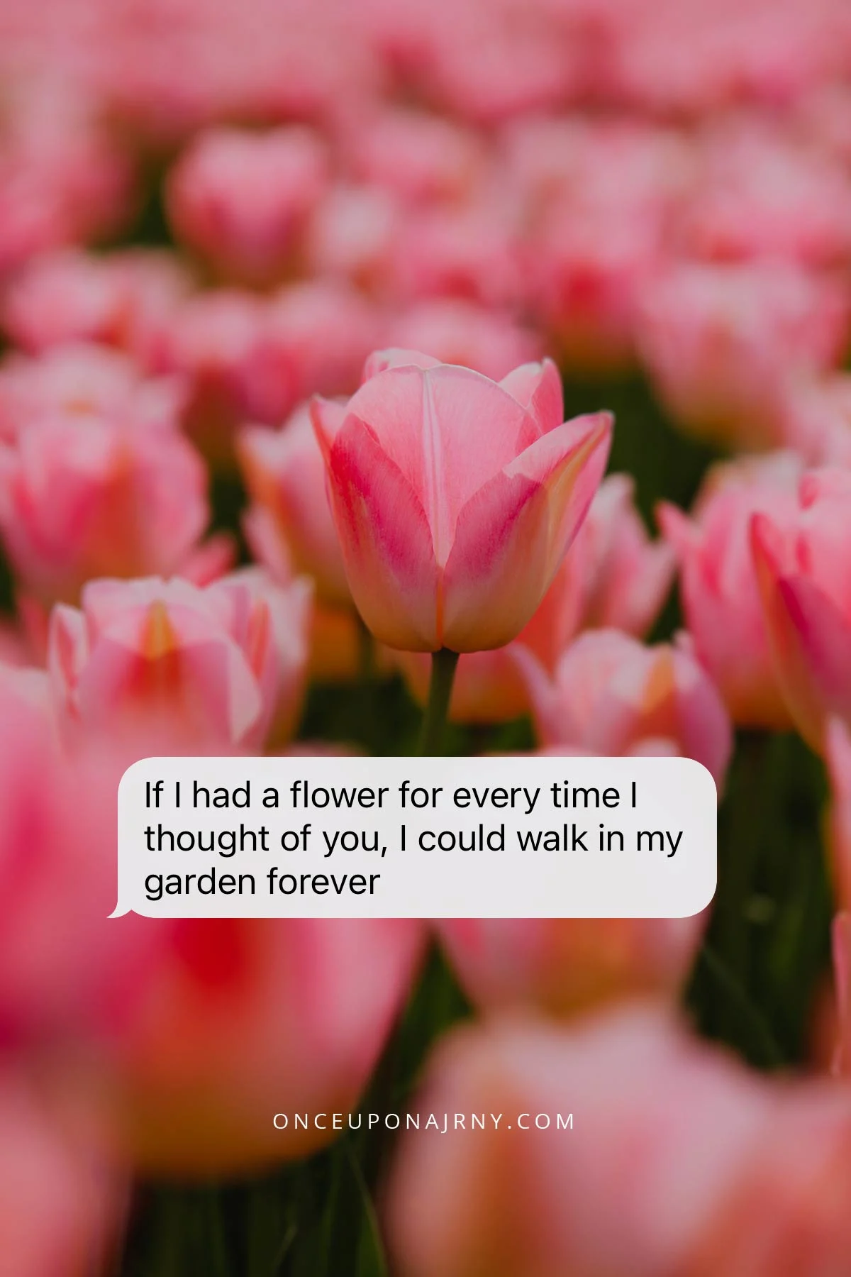 If I had a flower for every time I thought of you, I could walk in my garden forever flower lesbian quote