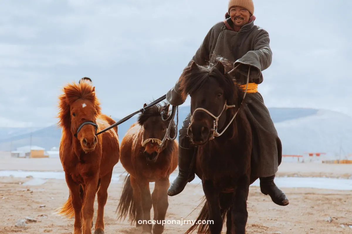 Mongolian horses horse riding Mongolia
