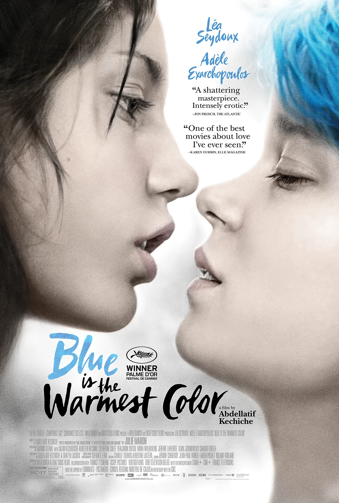Blue Is the Warmest Color La Vie D'adele 2013