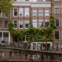 Top things to do in Amsterdam