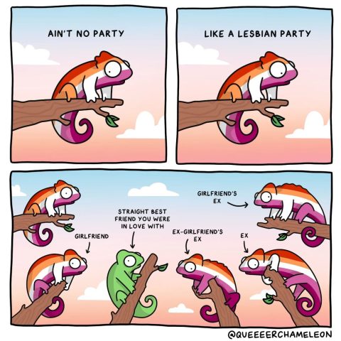 16+ Best Lesbian Memes You Have To See | Once Upon a Journey