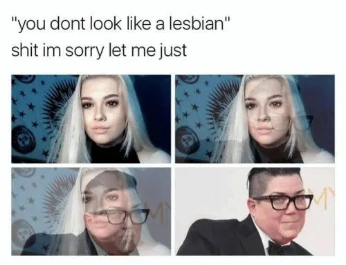 Lesbian memes and stereotypes