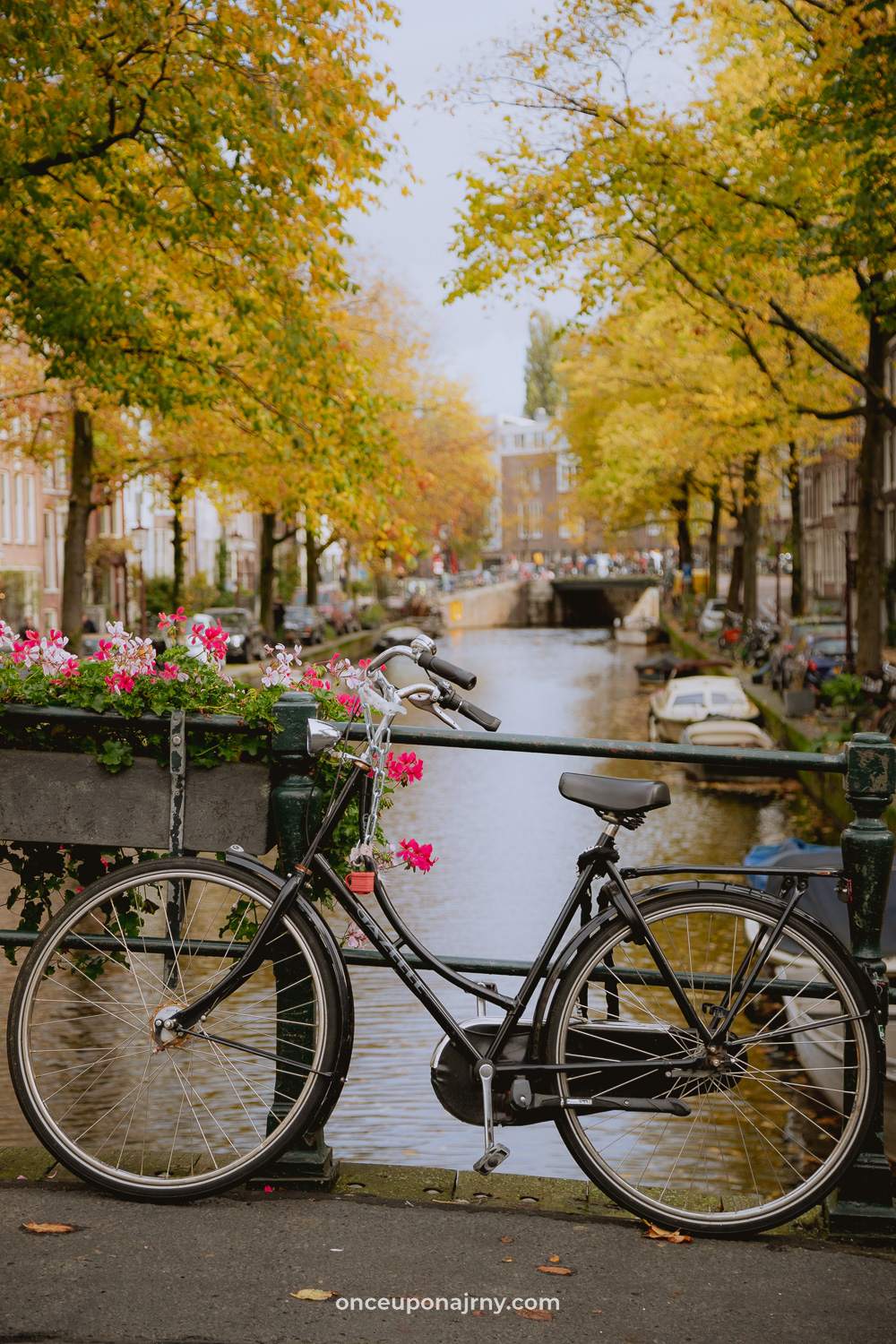 Wat te doen in Amsterdam fietsen