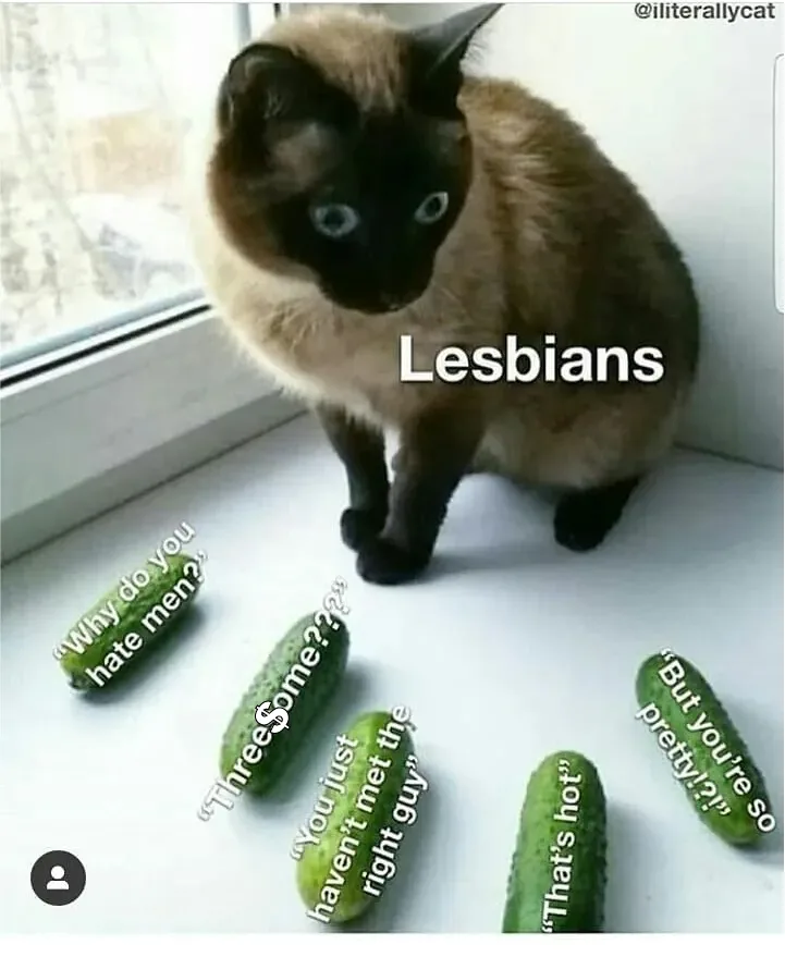 cat lesbian meme wlw questions