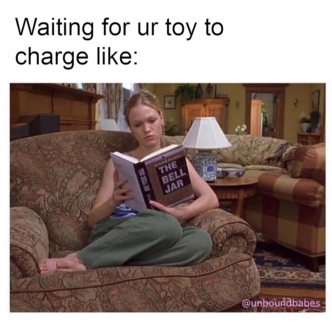 lesbian meme charge toy great lesbian memes